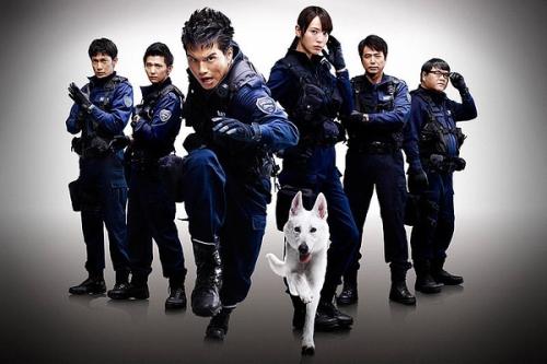 シャンウー大学 Sociological degree